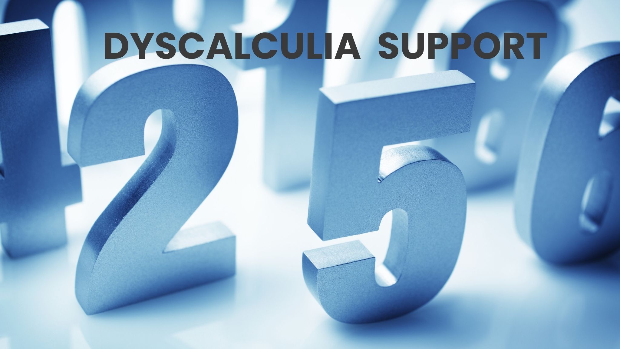 DYSCALCULIA SUPPORT (1)