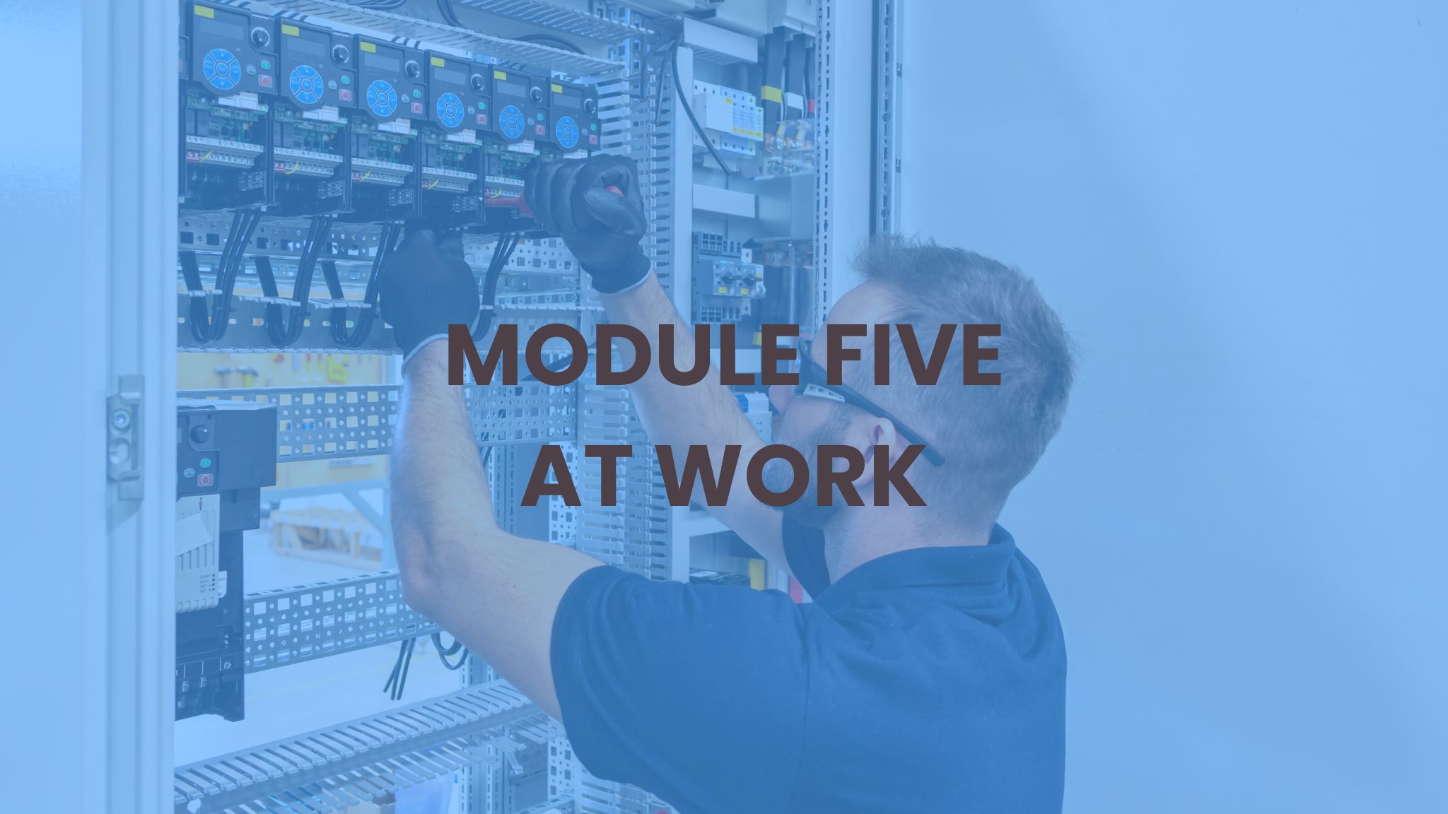 MODULE FIVE Adult AT WORK