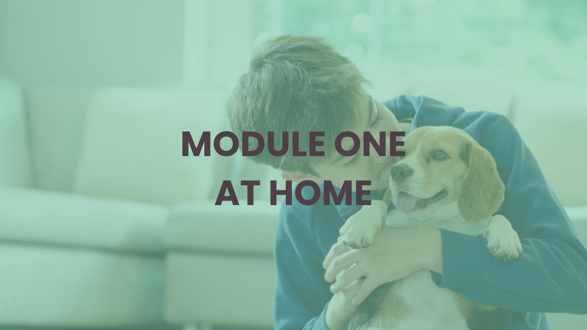 MODULE ONE AT HOME pic