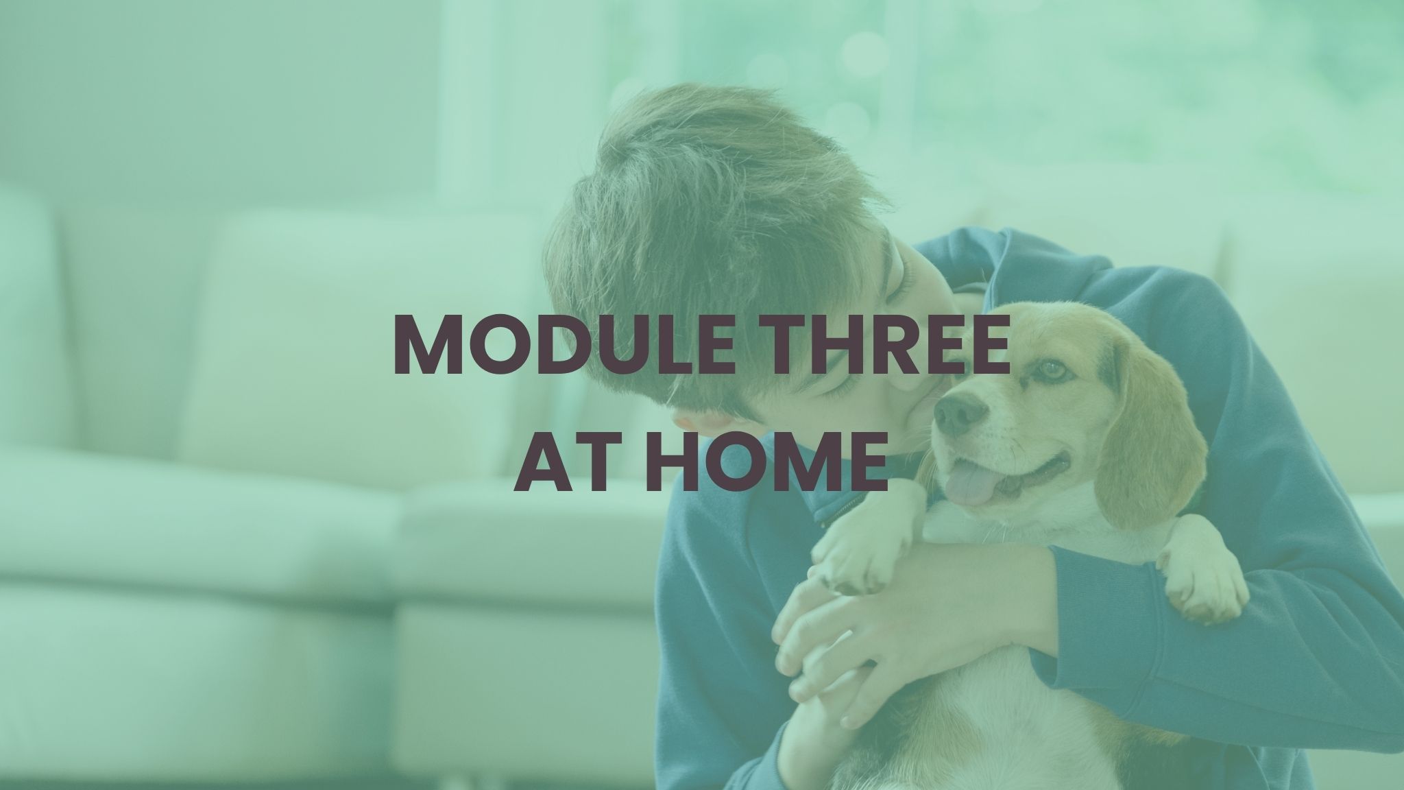 MODULE THREE AT HOME pic