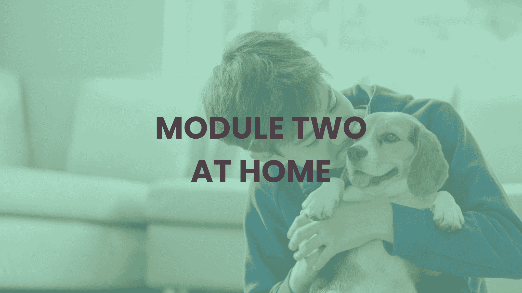 MODULE TWO AT HOME pic