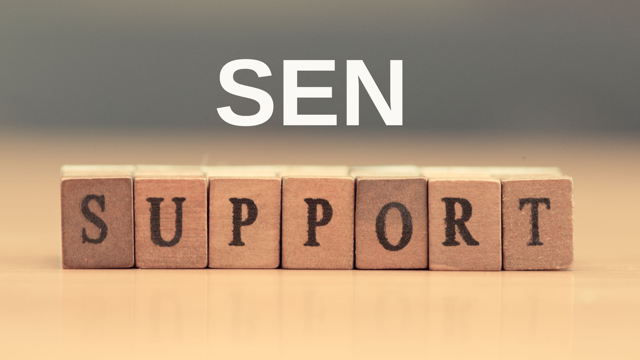 SEN SUPPORT