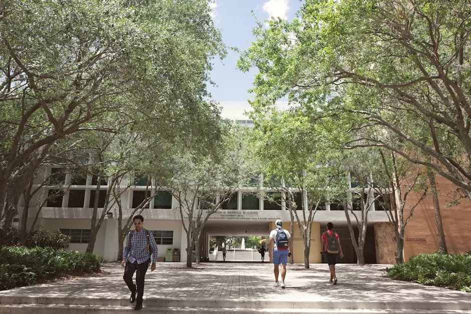 Post 16 EHCP Transition Guide Planning for College and Beyond 2026 1